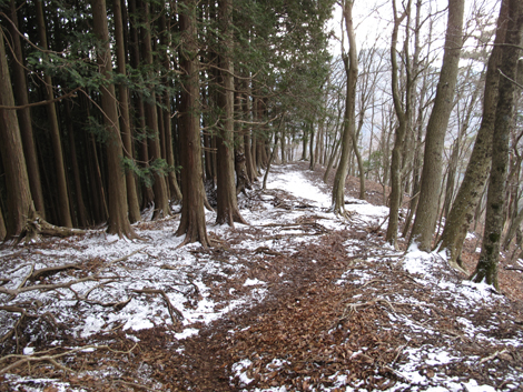 20160204hike (304)